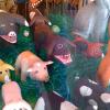 &nbsp;