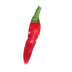 Chungyang Red Pepper Scoville Heat Units