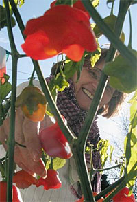 Massachusetts Cafe owner Paolina Lapore experiments with growing and cross-pollinating pepper plants
