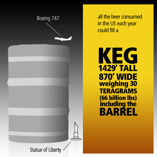 Americans and Beer - Consumption in One Year