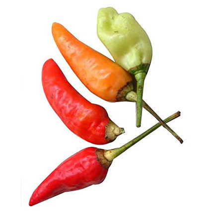 Birds Eye Pepper Scoville Heat Units