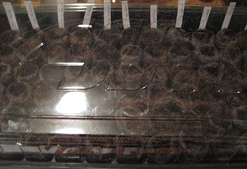 I Finally Started My Chile Pepper Garden for 2010