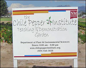 The Chile Pepper Institute Demonstration Garden