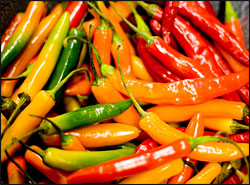 Chile peppers