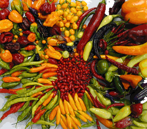 Hot Peppers Make Prostate Cancer Cells Die and Taste Buds Come to Life 