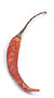 de Arbol pepper
