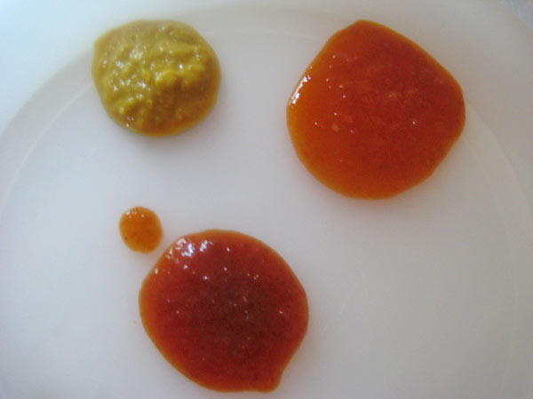 Datil Sensation Mania X-Hot Mustard, Indian Summer Hot Ketchup and Tears X-Hot Ketchup