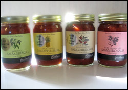 Gunther Gourmet's Jalapeño Salsa Fresca, Spicy Ginger Pineapple Salsa, Fiery Peri-Peri Dark Cherry Salsa, and Fiery Cranberry Habanero Salsa