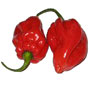 Jamaican Hot Pepper