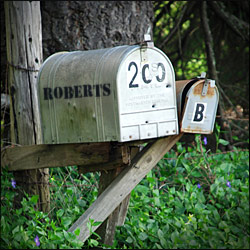Lonely Mailboxes