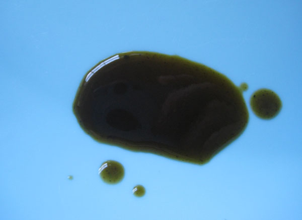 Louisiana Swamp Scum Hot Sauce