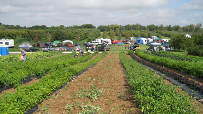 Open Fields is back!