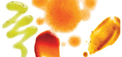 Taste Test - The Best Hot Sauces According to RachaelRayMag.com
