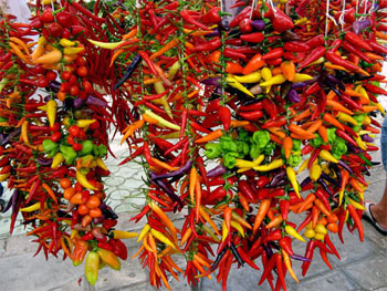 Peppers contain various capsaicin amounts, which rank them all over the Scoville Scale