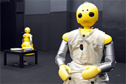 Real Life Robots