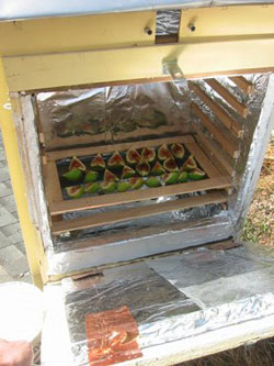 Build a Solar Dehydrator