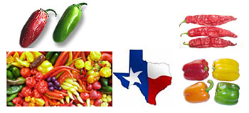 Texas Pepper Conference on November 12 - 13, 2009