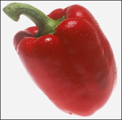 TVitamin C Super Pepper Developed
