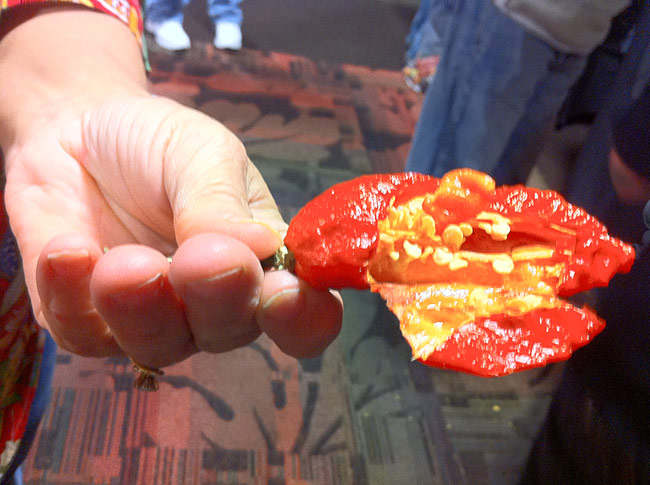 Jungle Jim's Weekend of Fire 2012 Photo