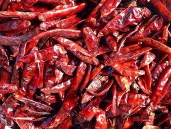 how to dry chile peppers