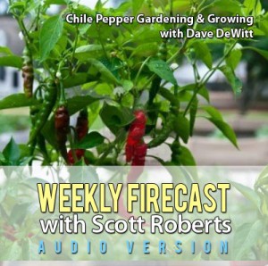 Weekly Firecast Podcast Episode #32 - Chile Pepper Gardening and Growing with Dave DeWitt