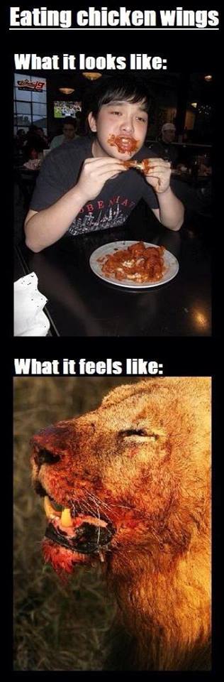 eating-hot-buffalo-wings-messy-lion-meme