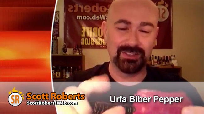 scott-roberts-urfa-biber-pepper-chile-test