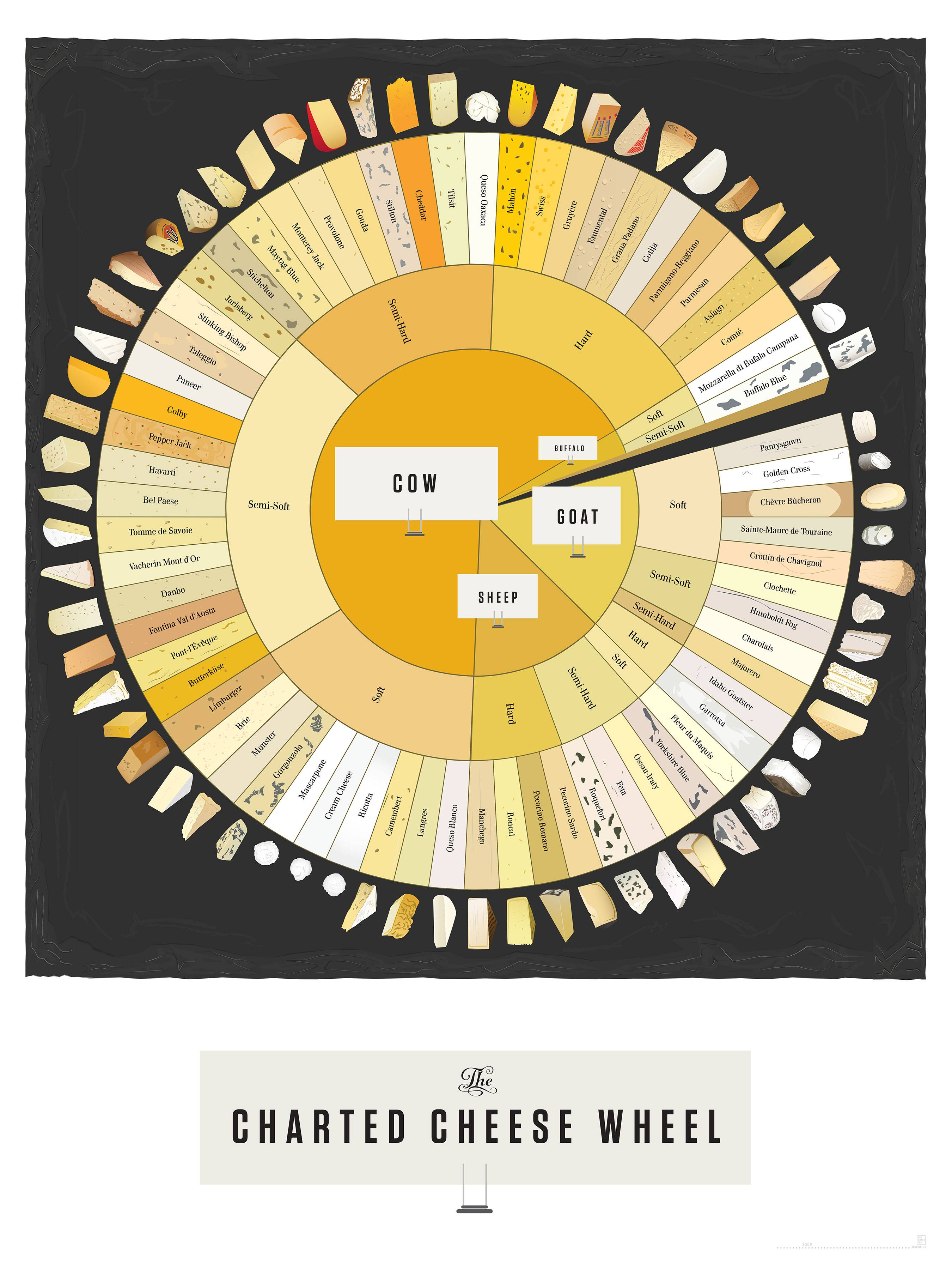 Charted Cheese Wheel Infographic Scott Roberts Hot Sauce BBQ And 
