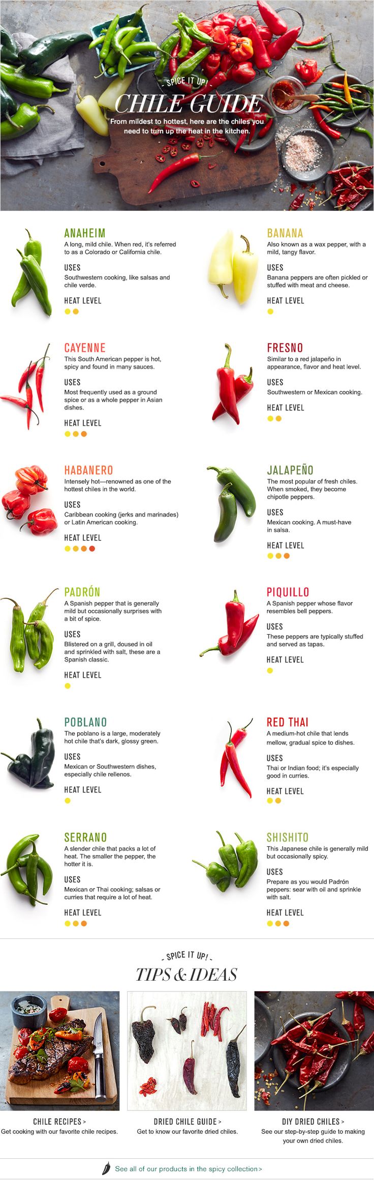 chile pepper guide infographic