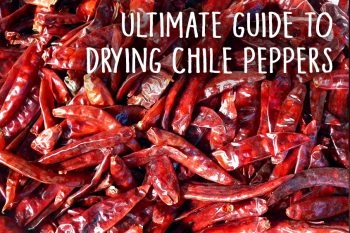 ultimate-guide-to-drying-hot-chile-peppers.